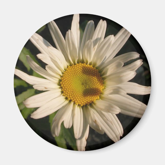 Blume Power Magnet (Vorne)