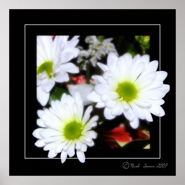 Blume Power Poster (Vorne)