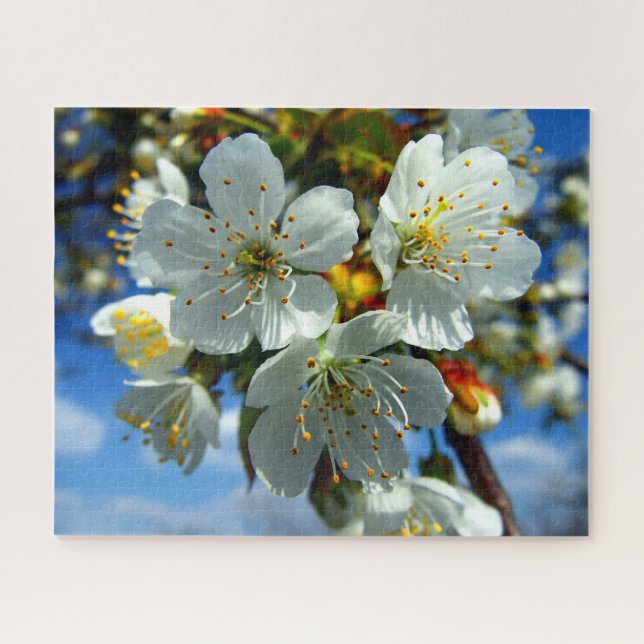 Blume Puzzle (Horizontal)