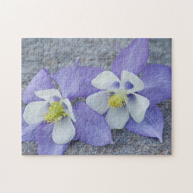 Blume Puzzle (Horizontal)