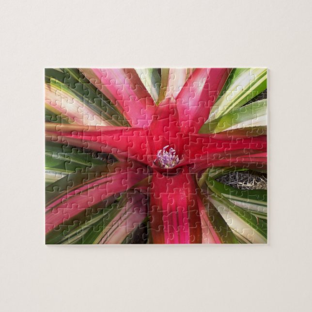 Blume Puzzle (Horizontal)