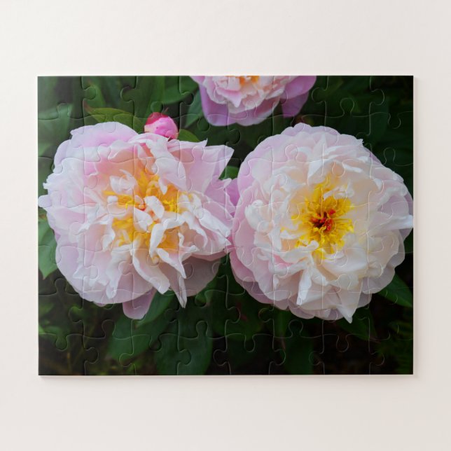 Blume Puzzle (Horizontal)