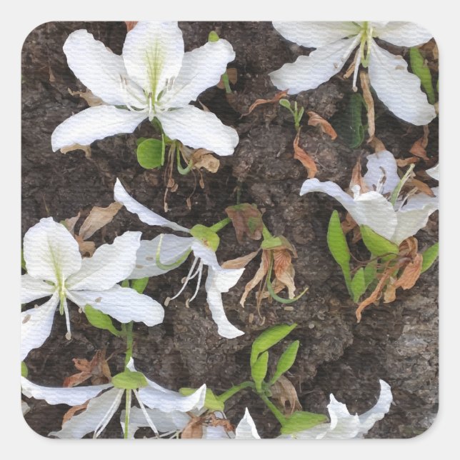 Blume Quadratischer Aufkleber (Vorderseite)