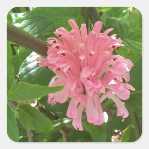 Blume Quadratischer Aufkleber