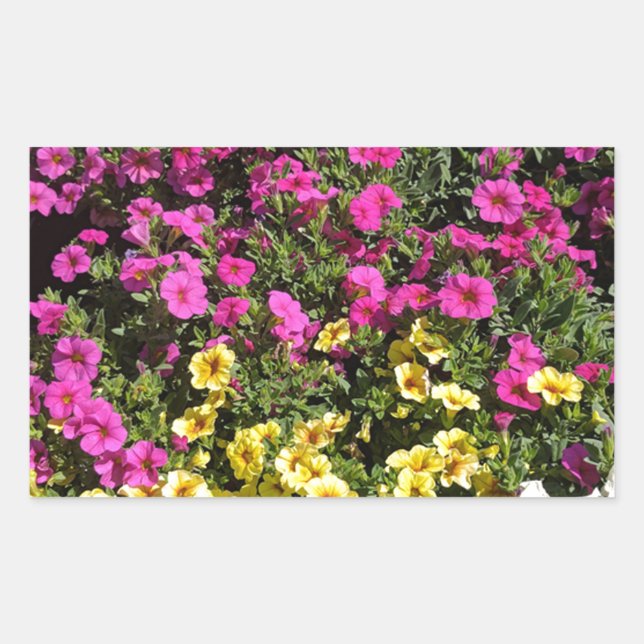 Blume Rechteckiger Aufkleber (Vorderseite)