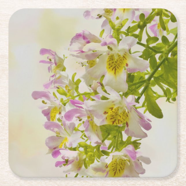 Blume Rechteckiger Pappuntersetzer (Vorderseite)