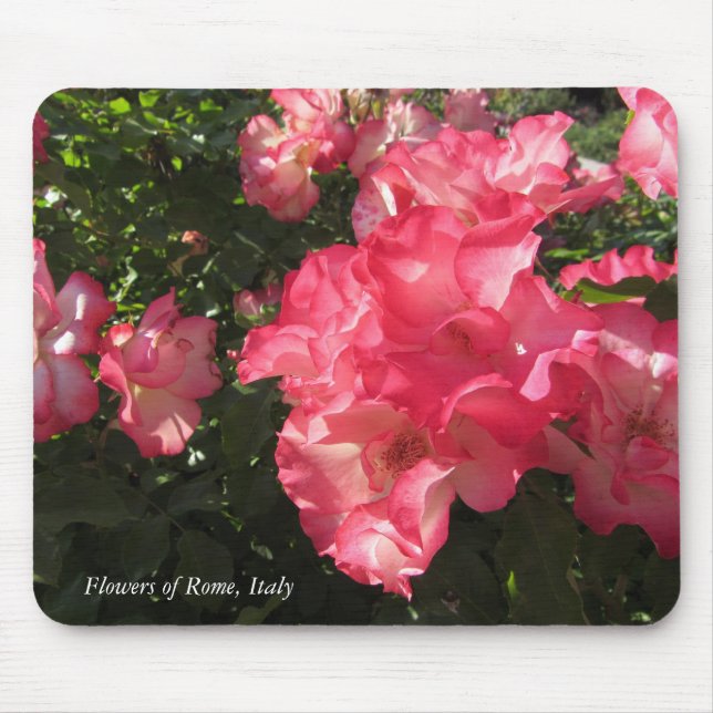 Blume Rom, Italien Mousepad (Vorne)