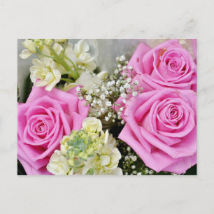 Blume Rosa Blank Postkarte
