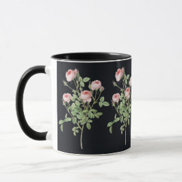 Blume Rosa Rose Natur Botanischer Garten Blossom Tasse