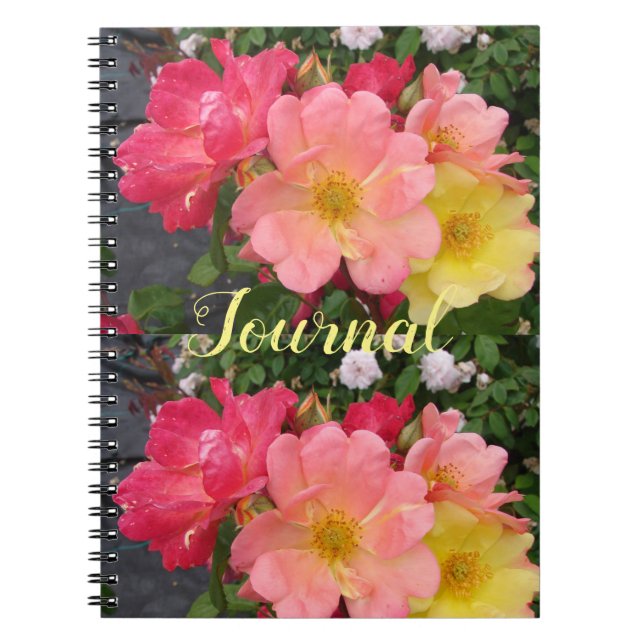 Blume Rosa Rose Rose Journal Notizblock (Vorderseite)