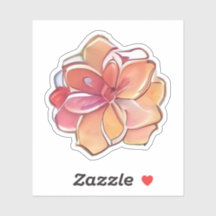 Blume Rosa und Creme