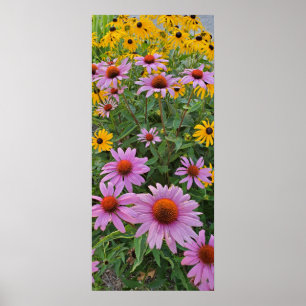 Blume Rosa und Gelbkon Naturfotografie Poster