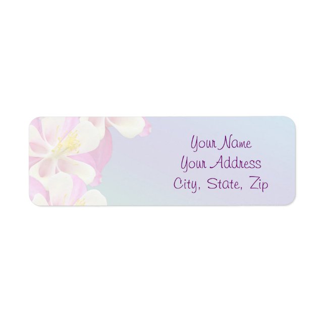 Blume rosa und weiß (Vorne)