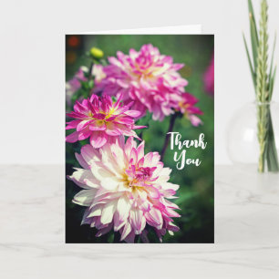 Blume Rosa und Weiß Dahlia Danke Karte