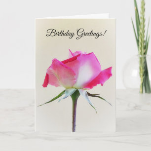 Blume Rosa und Weiß Rose Geburtstagskarte Karte