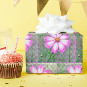 Blume Rosa und Weißkosmos Geschenkpapier