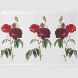 Blume Rose Vintages Muster Seidenpapier