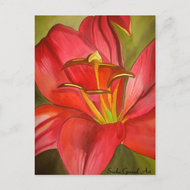 Blume Rot Alert Lily Aquarell Postkarte (Vorderseite)
