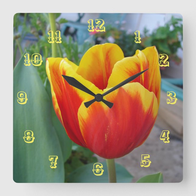 Blume Rot-Gelb-Tulip Uhr (Vorderseite)
