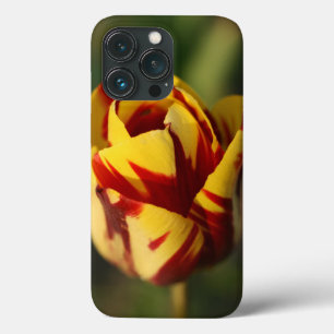 Blume Rot und Gelb iPhone 13 Pro Hülle