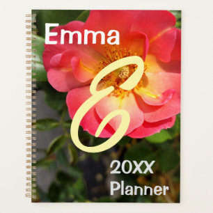 Blume Rot und Gelb Rose Planer