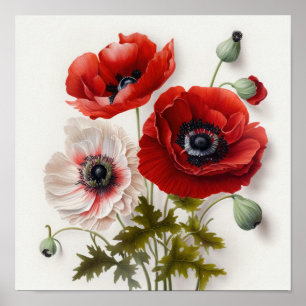 Blume Rote Anemone Poster