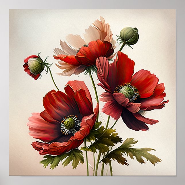 Blume Rote Anemone Poster (Vorne)