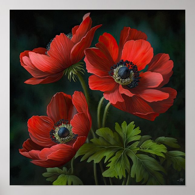 Blume Rote Anemone Poster (Vorne)