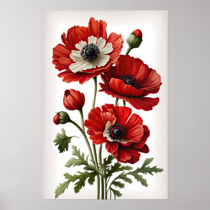 Blume Rote Anemone Poster