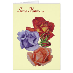 Blume rote Rosen und Knospen für Mama