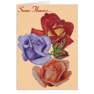 Blume rote Rosen und Rose Knospen Blütenblüte