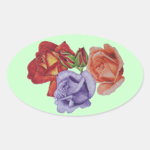 Blume rote Rosen und Rose Knospen Blütenblüte Ovaler Aufkleber