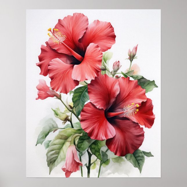 Blume Roter Hibiskus Art Print Poster (Vorne)