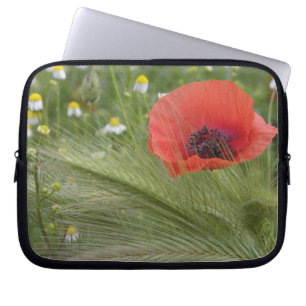 Blume Roter Mohn, Toskana, Italien Laptopschutzhülle