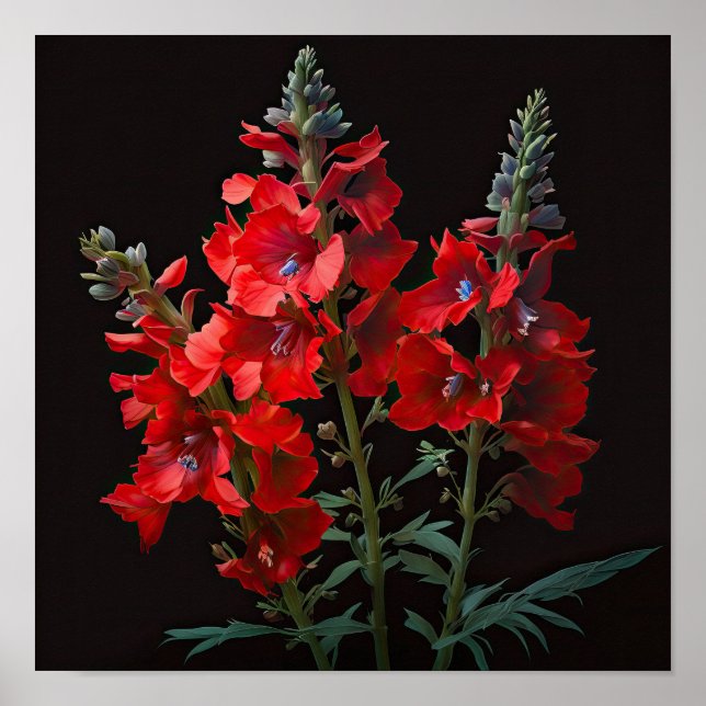 Blume Rotes Delphinium Poster (Vorne)