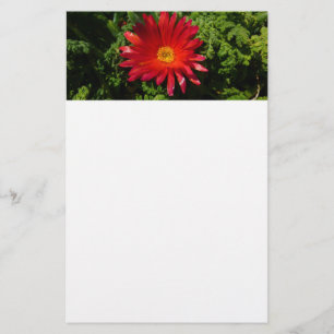 Blume Rotes Eis Farbenfrohe Teppiche Pflanze Briefpapier
