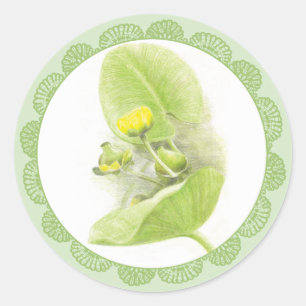 Blume Runder Aufkleber