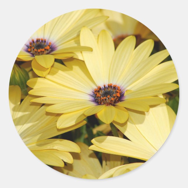 Blume Runder Aufkleber (Vorderseite)