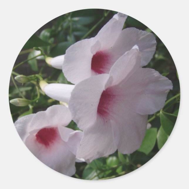 Blume Runder Aufkleber (Vorderseite)