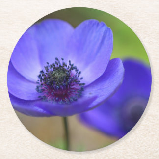 Blume Runder Pappuntersetzer
