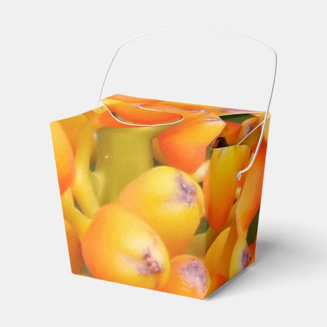 Blume Saatgut Ausnehmen Geschenkschachtel (Vorderseite)