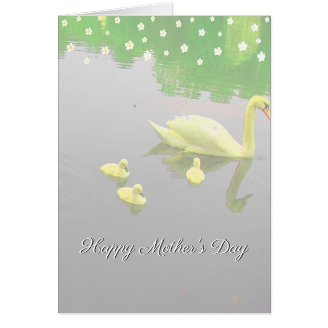 Blume & Schwanensee Muttertag (Vorne)