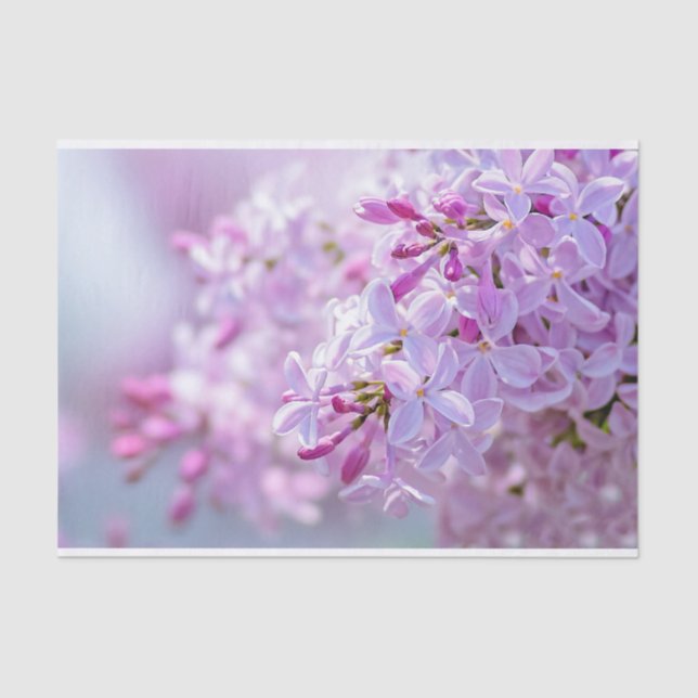 Blume Seidenpapier (Vorderseite)