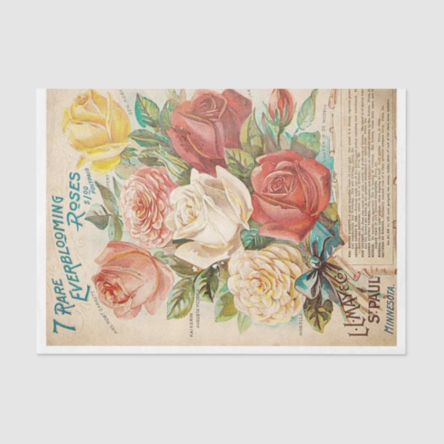 Blume Seidenpapier (Vorderseite)