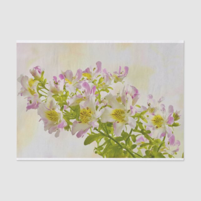 Blume Seidenpapier (Vorderseite)