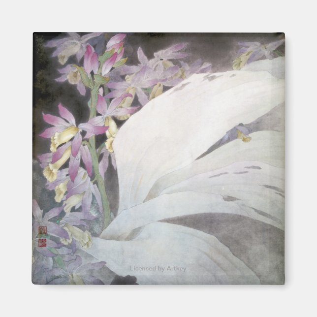 Blume Seires II - Phaios Magnet (Vorne)