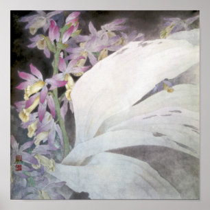 Blume Seires II - Phaios Poster