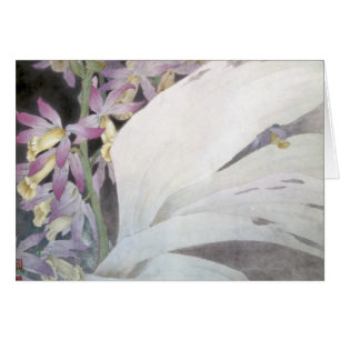 Blume Seires II Phaiuses