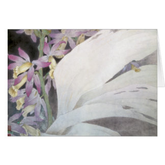 Blume Seires II Phaiuses