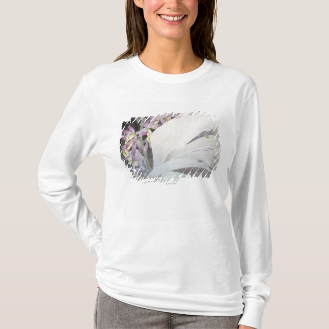 Blume Seires II Phaiuses T-Shirt (Vorderseite)